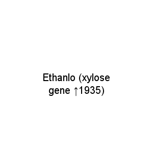 Ethanlo (xylose gene ↑1935)